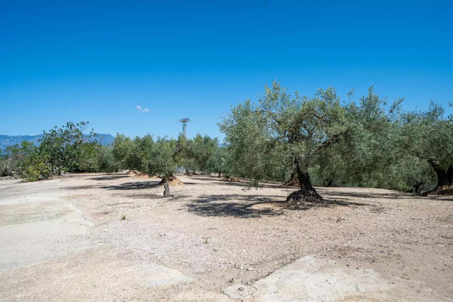 La Caseta Dels Iaios Masdenverge Exteriör bild